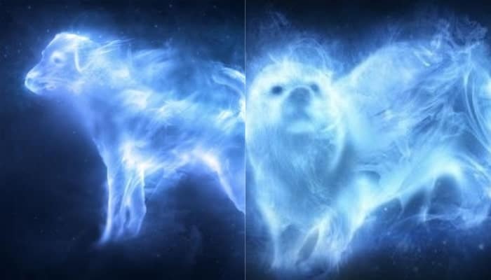 harry potter patronus