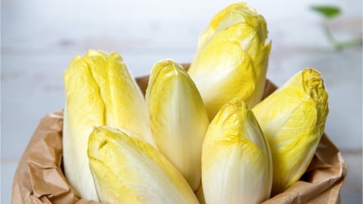 L'endive