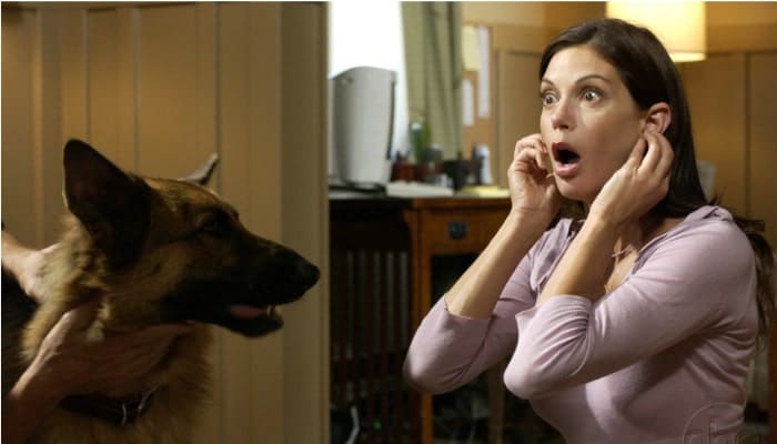 susan bongo chien Mike desperate housewives