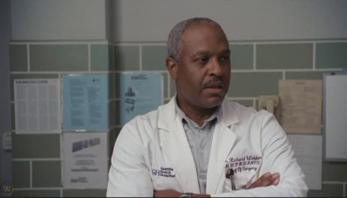 le personnage de Richard Webber dans la saison 1 de Grey's Anatomy