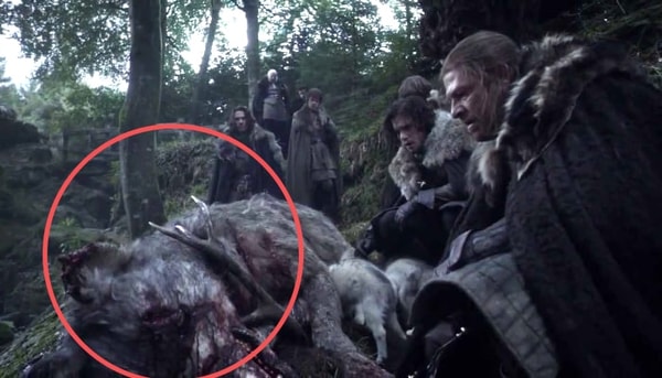 game of thrones, détails