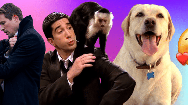 5 animaux de compagnie de séries qu'on aimerait beaucoup trop avoir