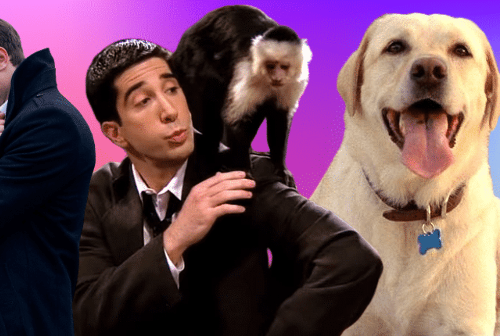 5 animaux de compagnie de séries qu’on aimerait beaucoup trop avoir