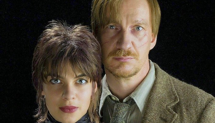 Lupin et Tonks Harry Potter