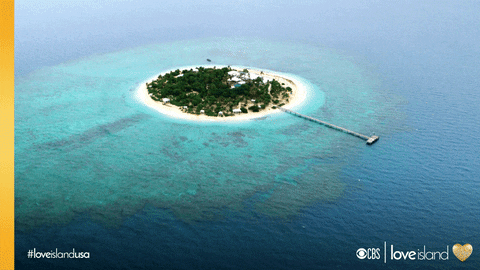 Toi sur une île déserte