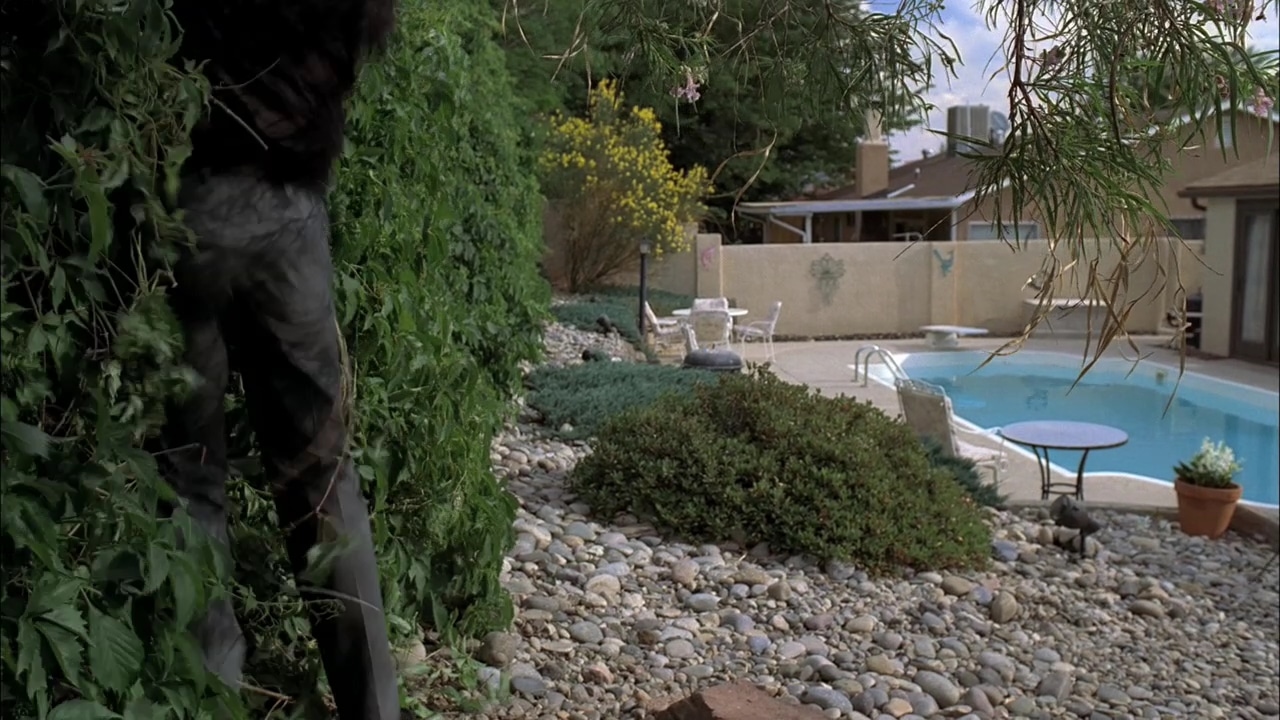 Le jardin de Breaking Bad