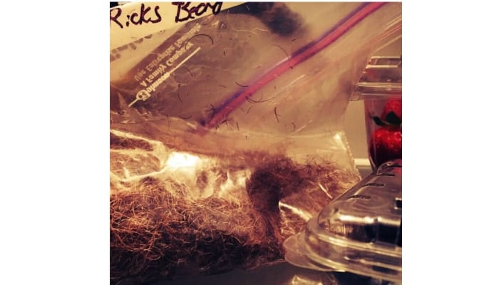 Rick's Beard Norman Reedus The Walking Dead