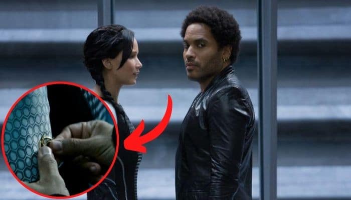 Cinna broche geai moqueur