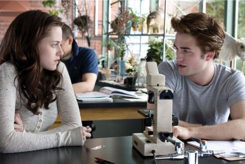 Twilight : ce détail majeur que Stephenie Meyer aimerait pouvoir changer