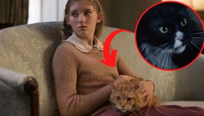 Primrose Everdeen chat Buttercup