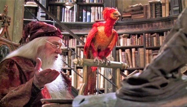 fumseck, dumbledore
