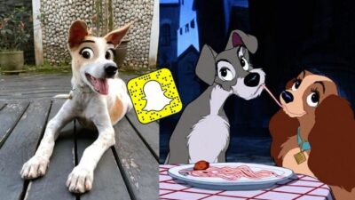 Un filtre Snapchat hilarant transforme votre chien en héros de Disney