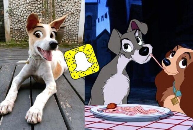 Un filtre Snapchat hilarant transforme votre chien en héros de Disney