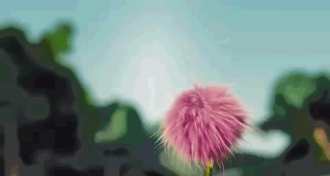 Horton