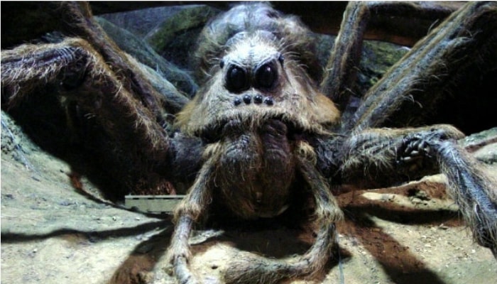 Harry Potter, Aragog dans le film La Chambre des Secrets