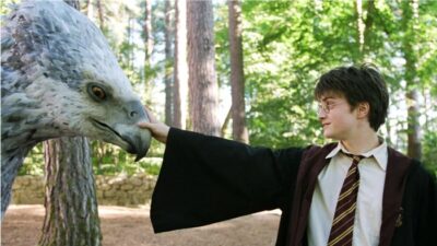 Quiz Harry Potter : seul un vrai fan saura nommer ces créatures magiques