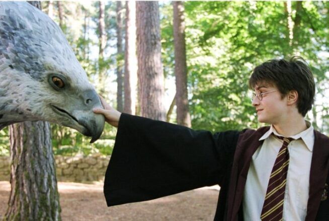 Quiz Harry Potter : seul un vrai fan saura nommer ces créatures magiques