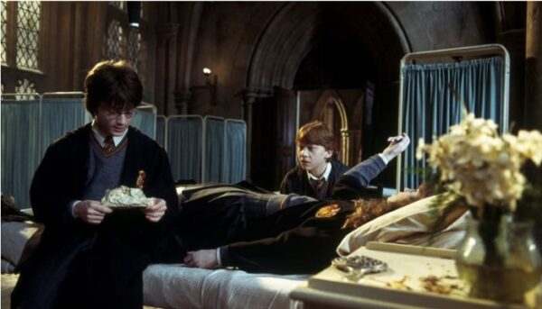 Hermione Granger_ Harry Potter et la chambre des secrets