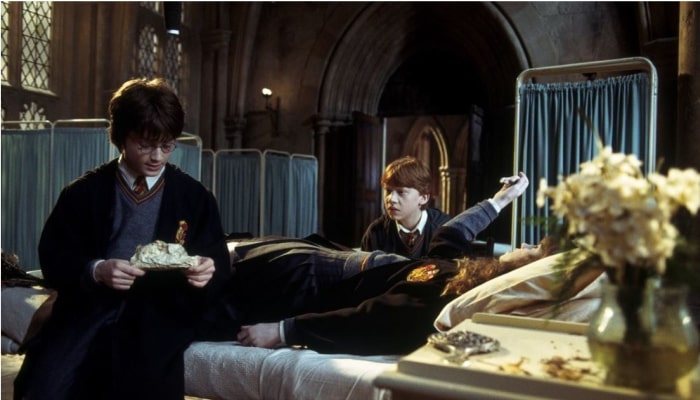 Hermione Granger_ Harry Potter et la chambre des secrets