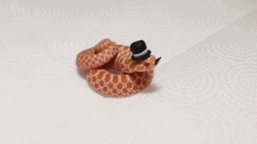 Un serpent