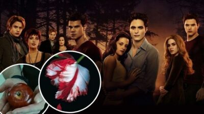 Twilight : aviez-vous repéré ces références directes aux livres cachées dans les films ?