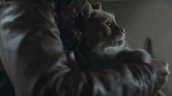 hunger games la révolte partie 1 erreur 6