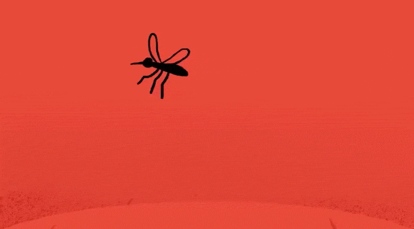 Le bourdonnement d’un moustique dans l’oreille