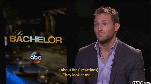 The Bachelor