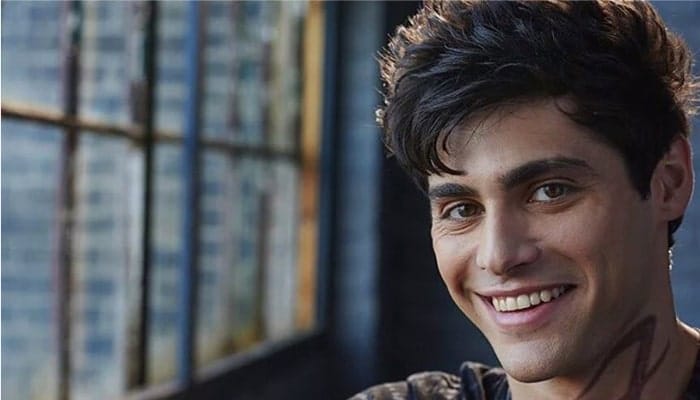 alec shadowhunters