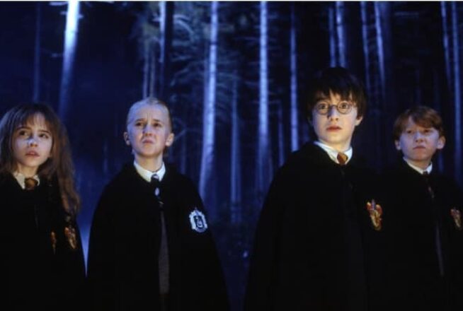 Harry Potter : Tom Felton veut organiser une réunion du casting pour célébrer l&rsquo;anniversaire du premier film