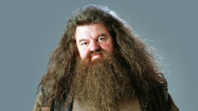 Harry Potter : le quiz le plus dur du monde sur Rubeus Hagrid