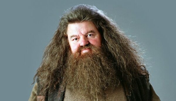 Rubeus Hagrid Harry Potter