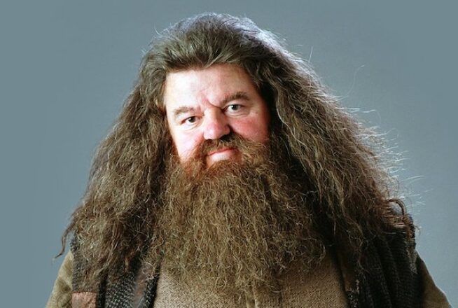 Harry Potter : le quiz le plus dur du monde sur Rubeus Hagrid