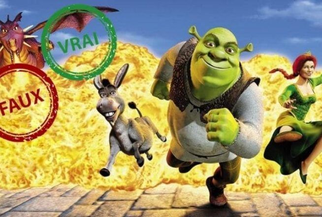 Shrek : seul un vrai fan aura 10/10 à ce quiz vrai ou faux sur le film