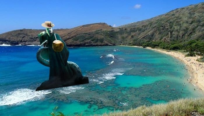 Partir à Honolulu avec Voldemort