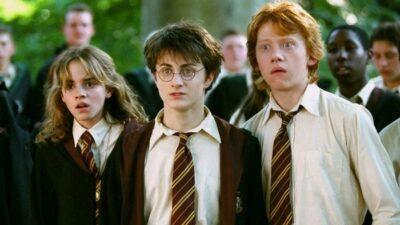 Harry Potter : mauvaise nouvelle ! TMC ne diffusera pas la suite de la saga, les fans sont déçus