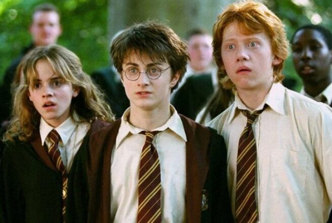 Harry Potter : mauvaise nouvelle ! TMC ne diffusera pas la suite de la saga, les fans sont déçus