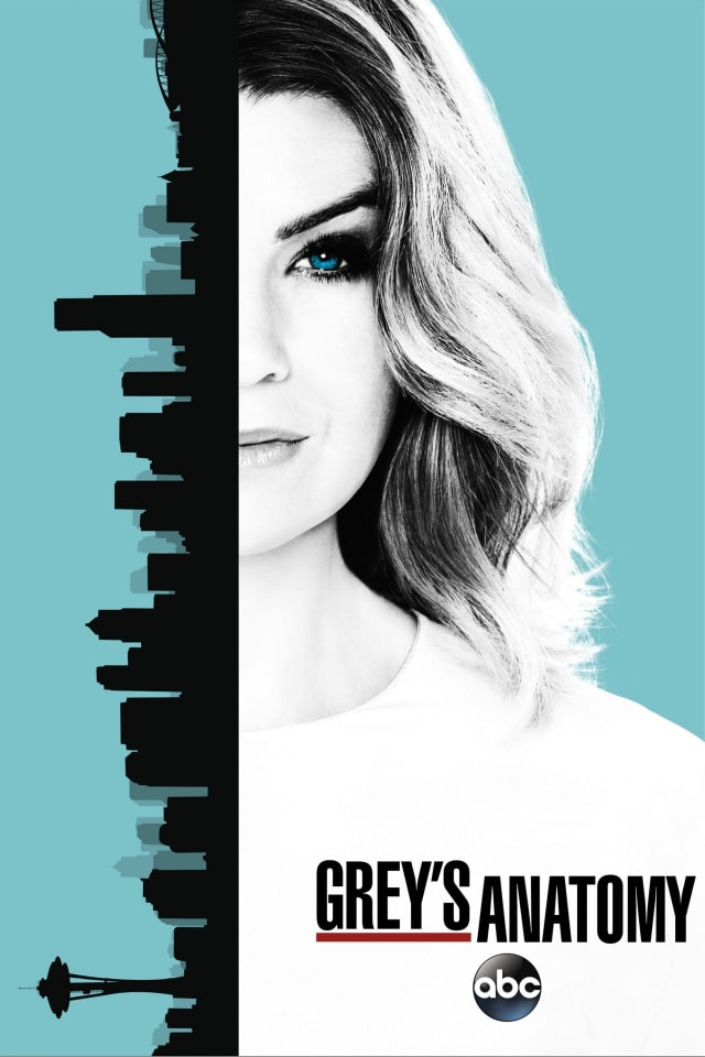 grey's anatomy