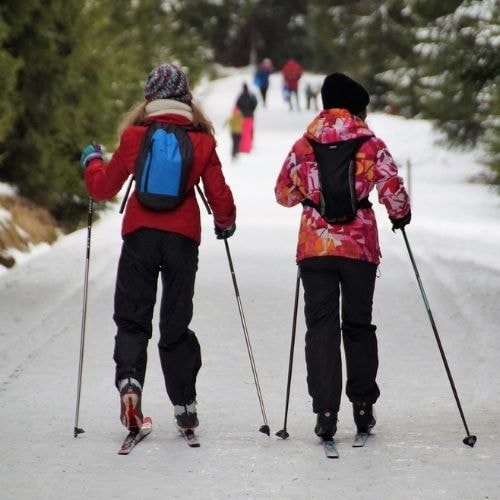 Ski de fond