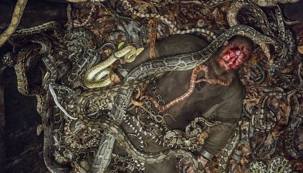 Vikings mort de Ragnar