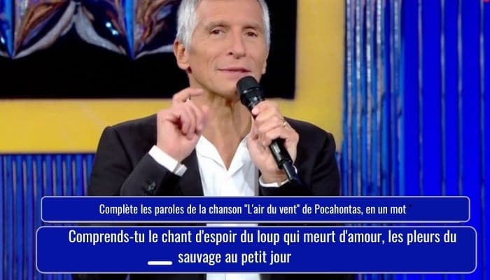 © Capture d'écran France 2