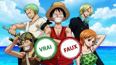 Quiz One Piece : impossible d'avoir 10/10 à ce vrai ou faux sur l'arc East Blue