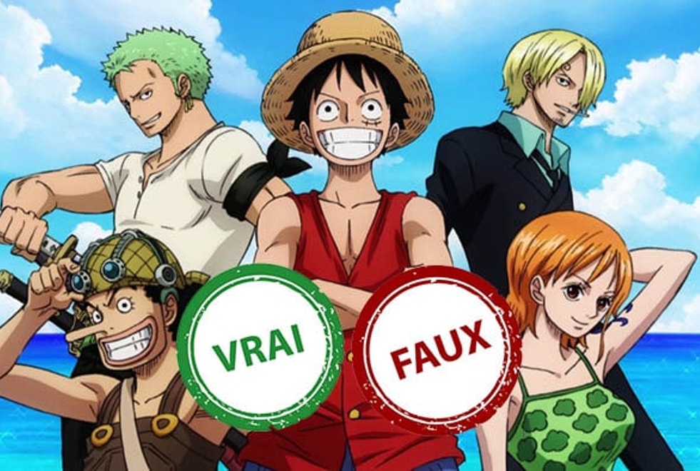 Quiz One Piece : impossible d’avoir 10/10 à ce vrai ou faux sur l’arc East Blue