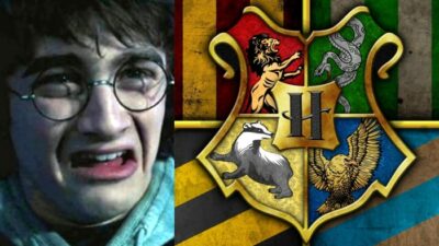 Sondage Harry Potter : dans quelle Maison Poudlard ne voudrais-tu surtout pas être ?