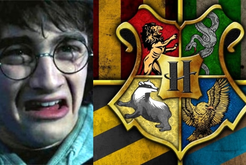 Sondage Harry Potter : dans quelle Maison Poudlard ne voudrais-tu surtout pas être ?