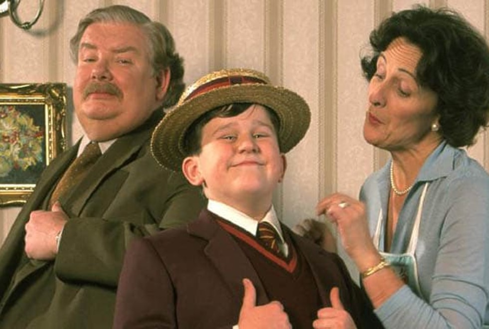 Harry Potter : 5 détails que vous ignorez sûrement sur les Dursley