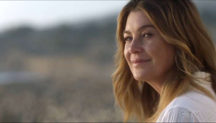 grey's anatomy, 17x07 questions bêtes