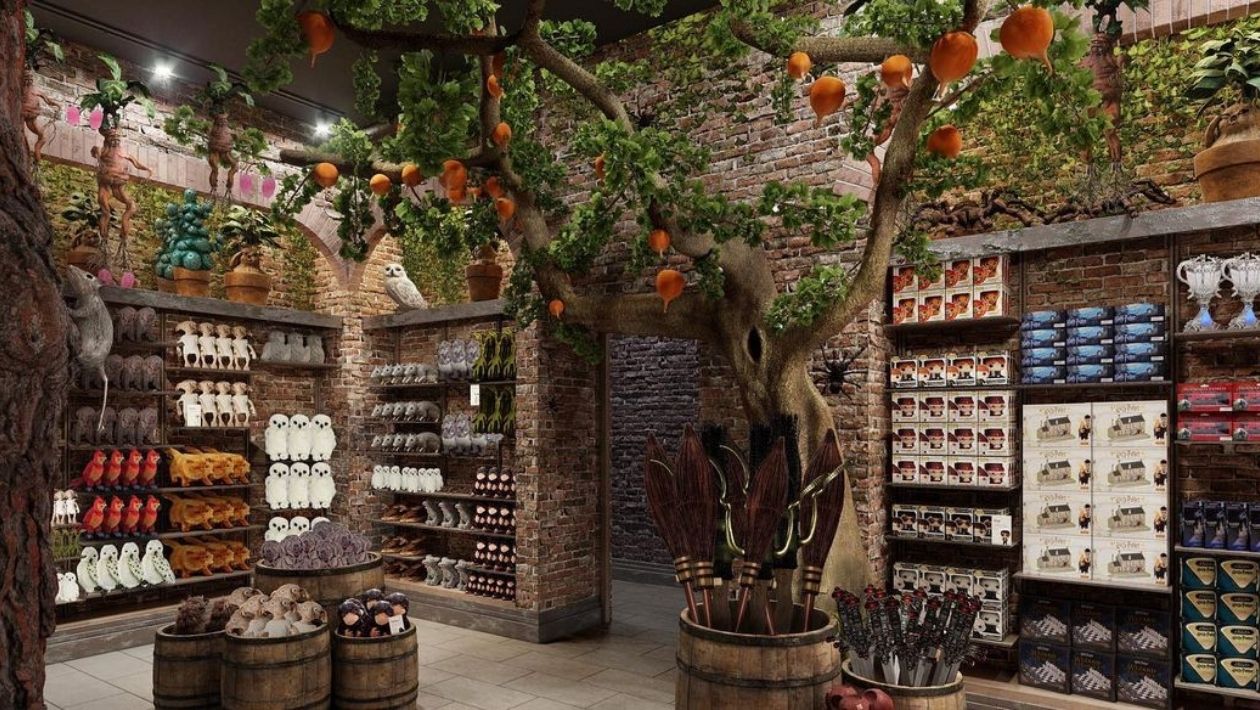 harry-potter-boutique