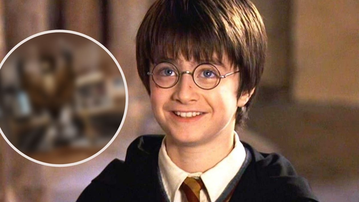 Harry Potter : découvrez les premières photos de l'incroyable boutique de New York