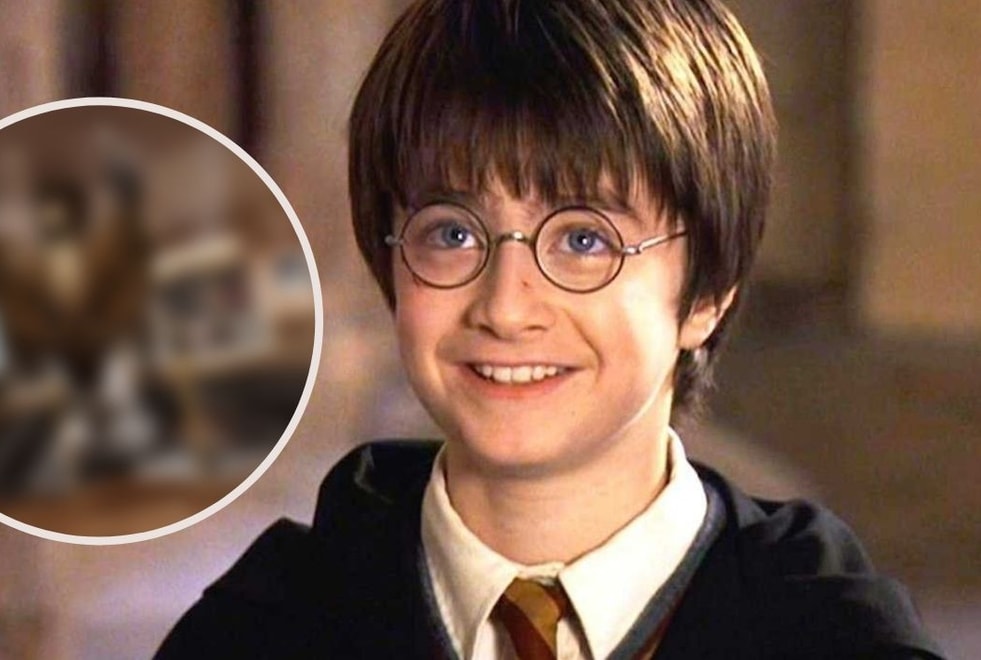 Harry Potter : découvrez les premières photos de l’incroyable boutique de New York